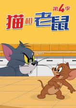 多彩理县 v2.0.13 app下载 截图