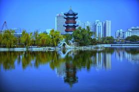 LEDOK Lite v2.2.8 官方app下载安装 截图