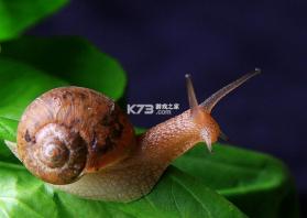 蜗牛绘家 v1.3.31 官方app下载安装 截图
