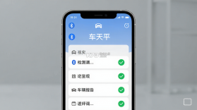 车天平 v1.1.8.8 下载官方版 截图