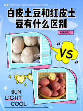 海棠书屋 v1.0.6 官方app下载安装 截图
