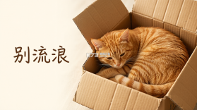 别流浪 v1.0.0 app下载 截图