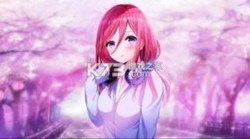 别流浪 v1.0.0 app下载 截图