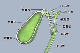 小手帕 v2.9.13 app下载 截图