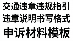 交通违章违规指引 v1.0.1 下载官方版 截图