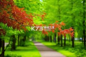 王牌智媒 v2.2.1 安卓app下载 截图