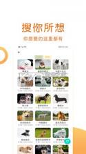 快乐宠物水疗中心 v1.5.0 下载安装正版 截图