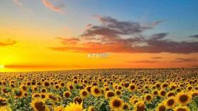 聚销售 v1.5.32 安卓app下载 截图