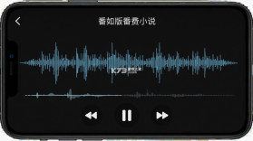 番如版免费听小说 v1.0.1 下载官方版 截图