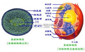 石棉融媒 v1.1.2 下载app安装 截图