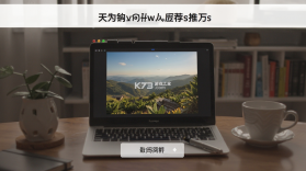FancyView v1.1.6.7 官方app下载安装 截图