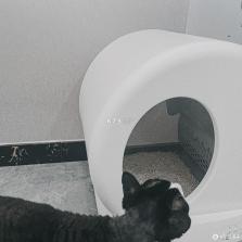 HHOLOVE v2.11.18 安卓app下载 截图