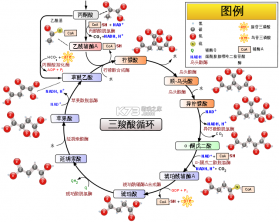 测面积测亩仪 v1.0.17 下载app安装正版 截图
