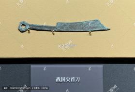 展查查 v1.7.0 安卓app下载 截图
