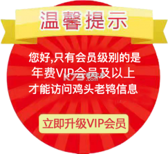 咚咚开黑 v1.3.22 安卓app下载 截图