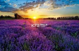 隅芯 v2.1.0 官方app下载安装 截图