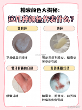 超级笔记伙伴 v2.6.0 app下载 截图