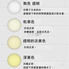 超级笔记伙伴 v2.6.0 app下载 截图