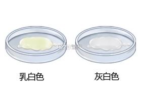 超级笔记伙伴 v2.6.0 app下载 截图