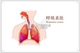 中邮网商城 v1.0.6 app下载免费 截图