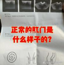 计算器税算助手 v1.0.2.DF 下载官方版 截图