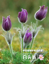 铁路火车票查 v1.4.0 安卓app下载 截图