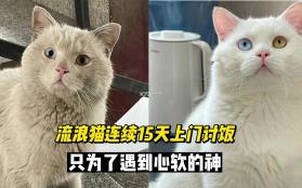 GPS电子狗 v2.6 安卓app下载 截图