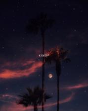 韵朋 v1.0.9 安卓app下载 截图
