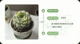 多肉花草成长日记 v2.6 安卓app下载 截图
