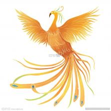 凤凰菁选商城 v3.10.1 官方app下载安装 截图