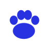 百度解析助手 v1.0.0 app