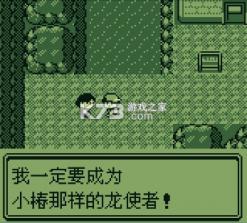 gbc宝可梦金银 v1.5.0 美版大字体完美汉化版下载 截图