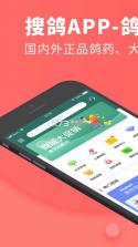 青鸽网 v4.2.3 安卓app下载 截图
