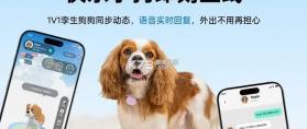 帕奇宠 v3.5.8 下载官方版 截图
