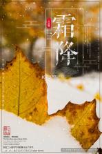 FeelFlow v2.0.1 app下载 截图