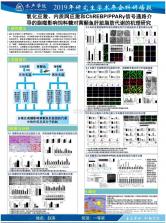 触说 vV1.0.7 安卓app下载 截图