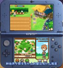 牧场物语双子村+ v2.3 3ds汉化版cia下载 截图