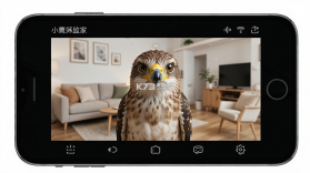 小鹰监控远程看家 v1.0.3 下载手机版 截图