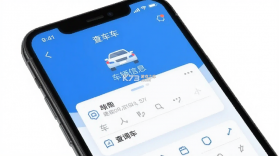 查车车 v1.3.1 安卓app下载 截图