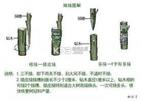 优享助手 v1.0.9 安卓app下载 截图
