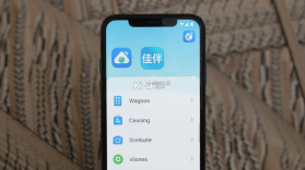 佳伴 v2.10.0 安卓app下载 截图