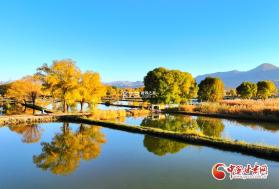露娜：蓝色大陆 v1.0.853 安卓app下载 截图