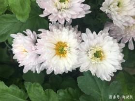 奢觅 v1.09 安卓app下载 截图