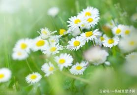 奢觅 v1.09 安卓app下载 截图