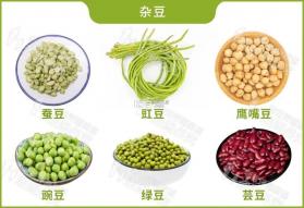 豆伴匠 v2.10.7 安卓app下载 截图
