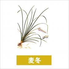 4i同频 v1.4.3 安卓app下载 截图
