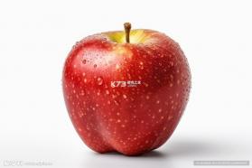 伴鱼口语 v1.0.1010 app下载 截图