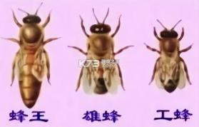 移动妙记 v1.2.0 app下载 截图