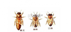 移动妙记 v1.2.0 app下载 截图