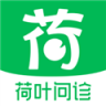 荷叶问诊 v1.3.1 下载免费